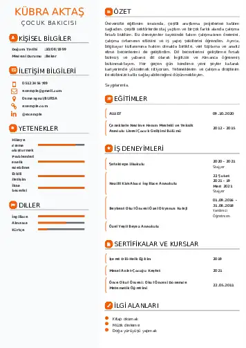Çocuk Bakıcısı CV Örnekleri cv indir